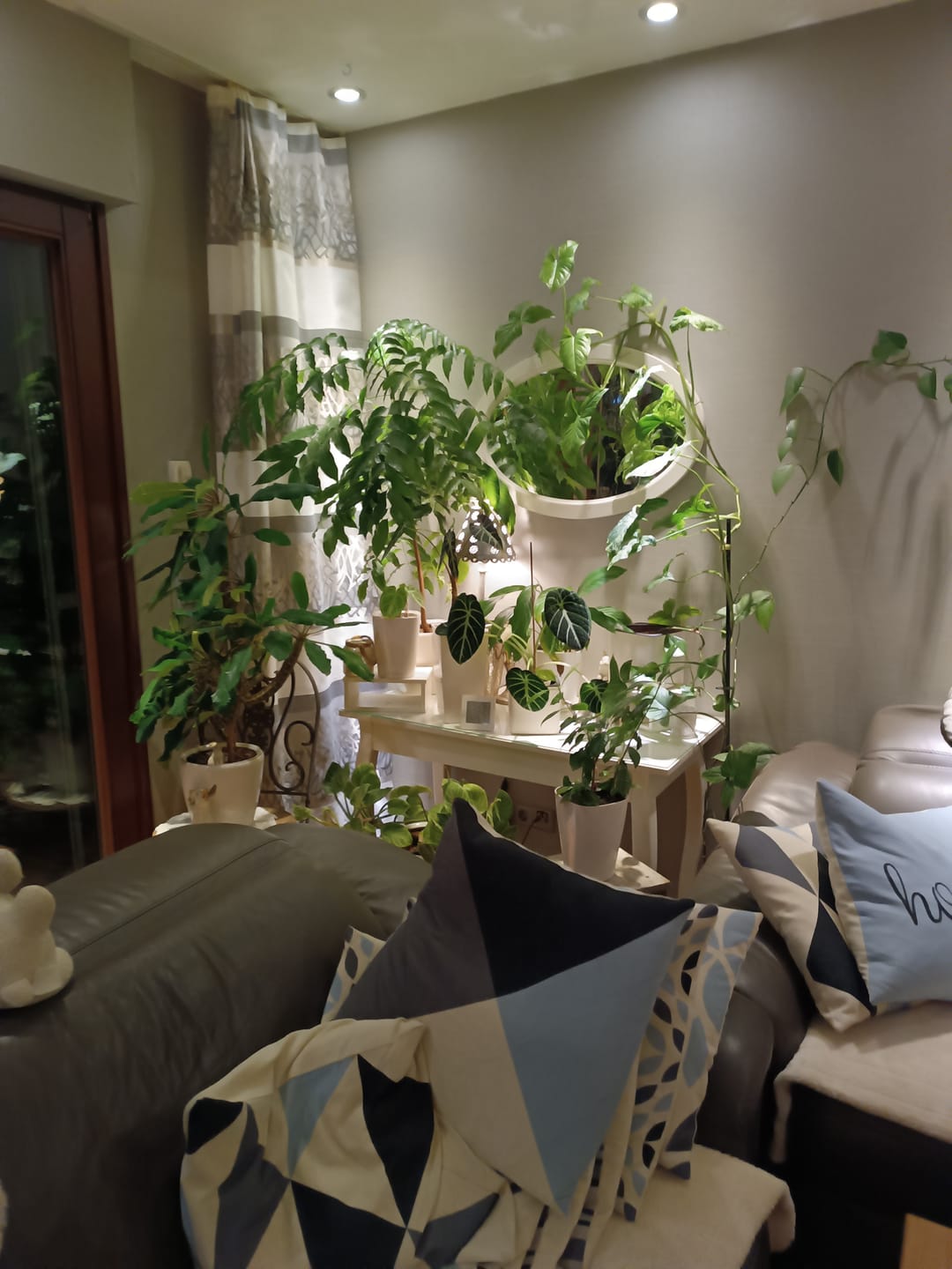 Customer photo review of HPE - Hesi Houseplant Elixir