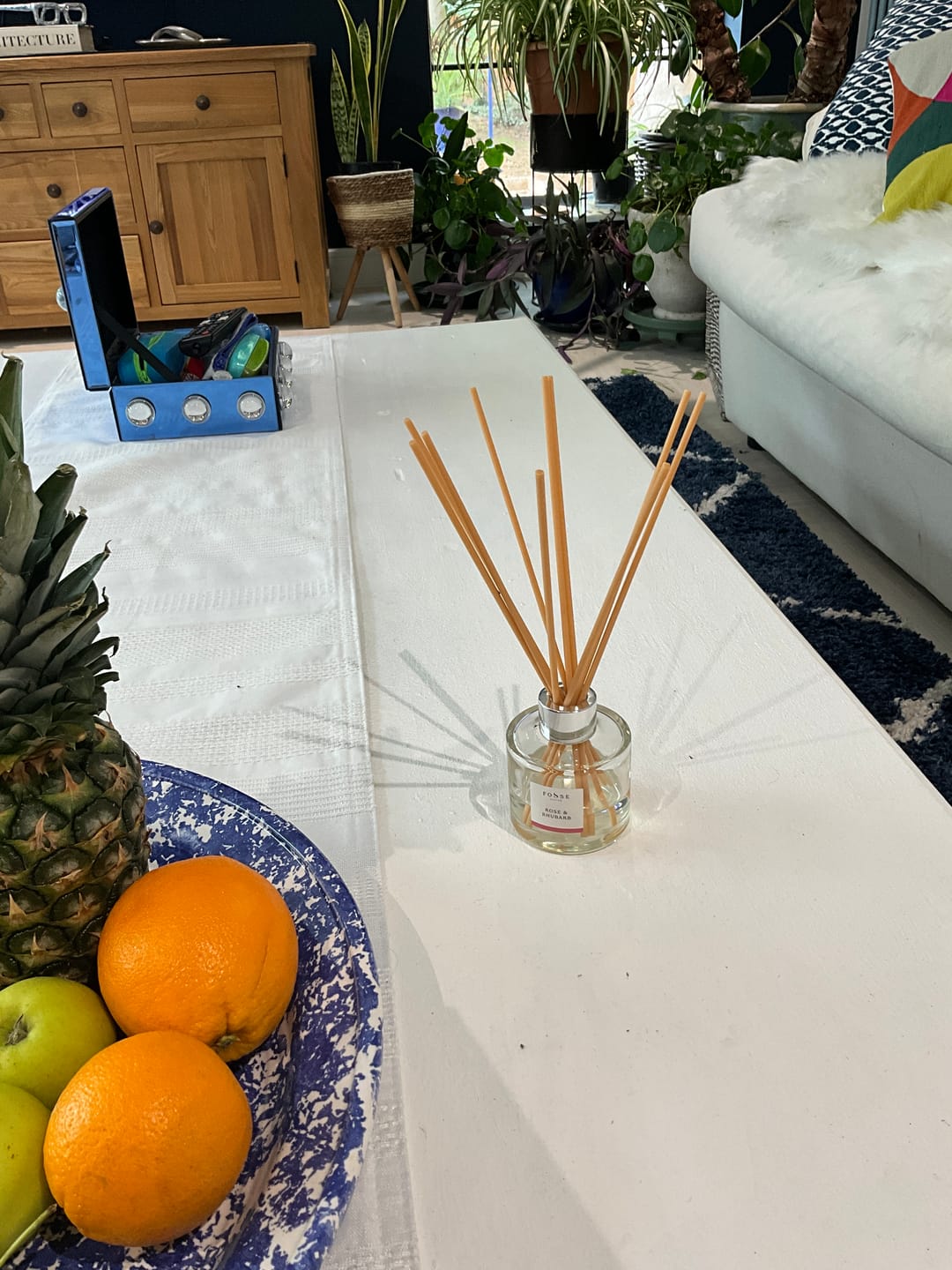 Customer photo review of Rose & Rhubarb Reed Diffuser