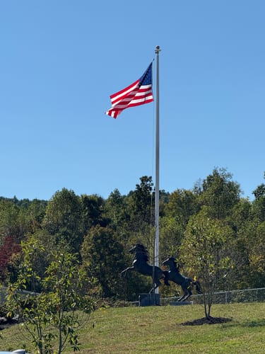 Customer photo review of Heavy Duty American Nylon Flag - Made In USA