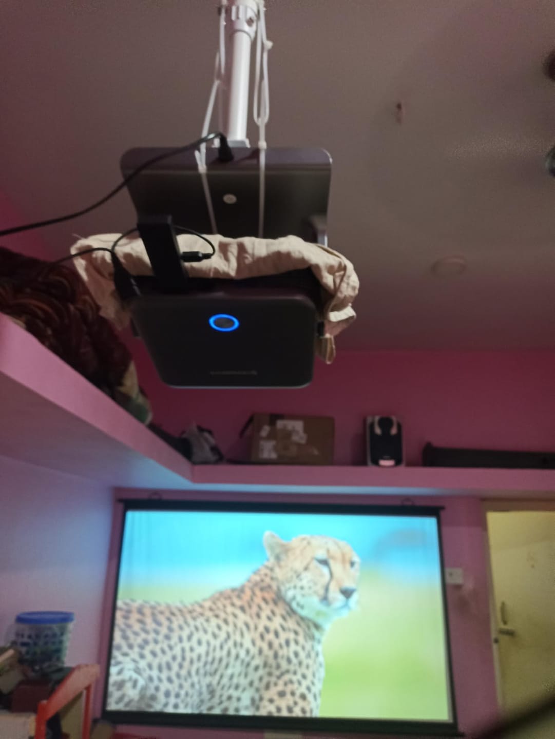 Customer photo review of LumeX Solis