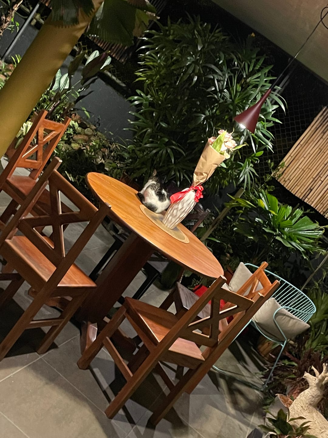 Customer photo review of Moderna