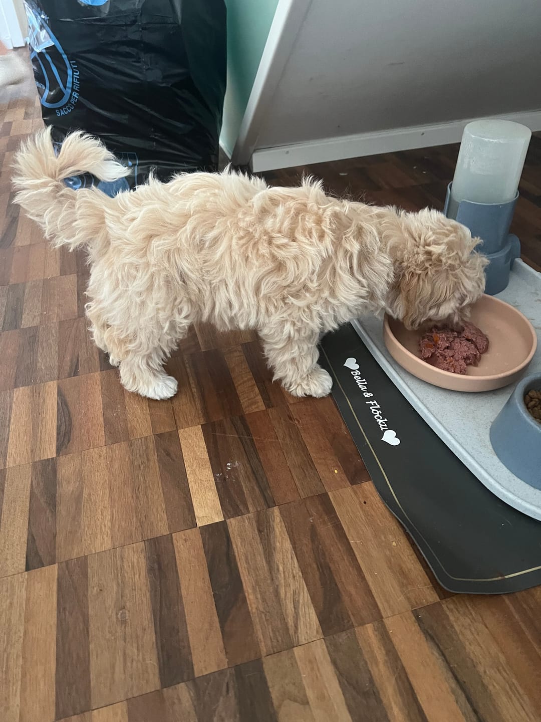 Customer photo review of Nutridog Menu Deluxe Pferd pro Wurst 250g ab 4.40.-