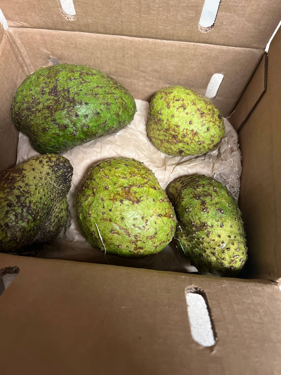 Customer photo review of Build Your Own Tropical Fruit Box