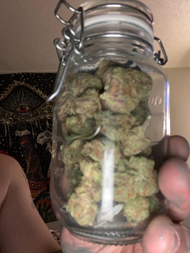 Customer photo review of Skunk Junction