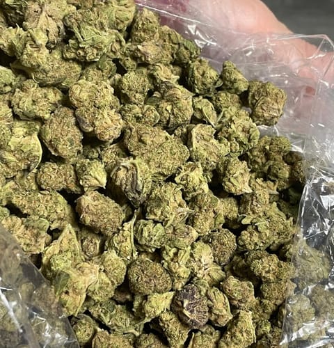 Customer photo review of Blueberry Lemon Bars Littles - Bulk Littles - Hybrid