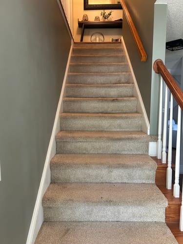 Customer photo review of Anderson Tuftex Twine Modern Farmhouse Stair Runner