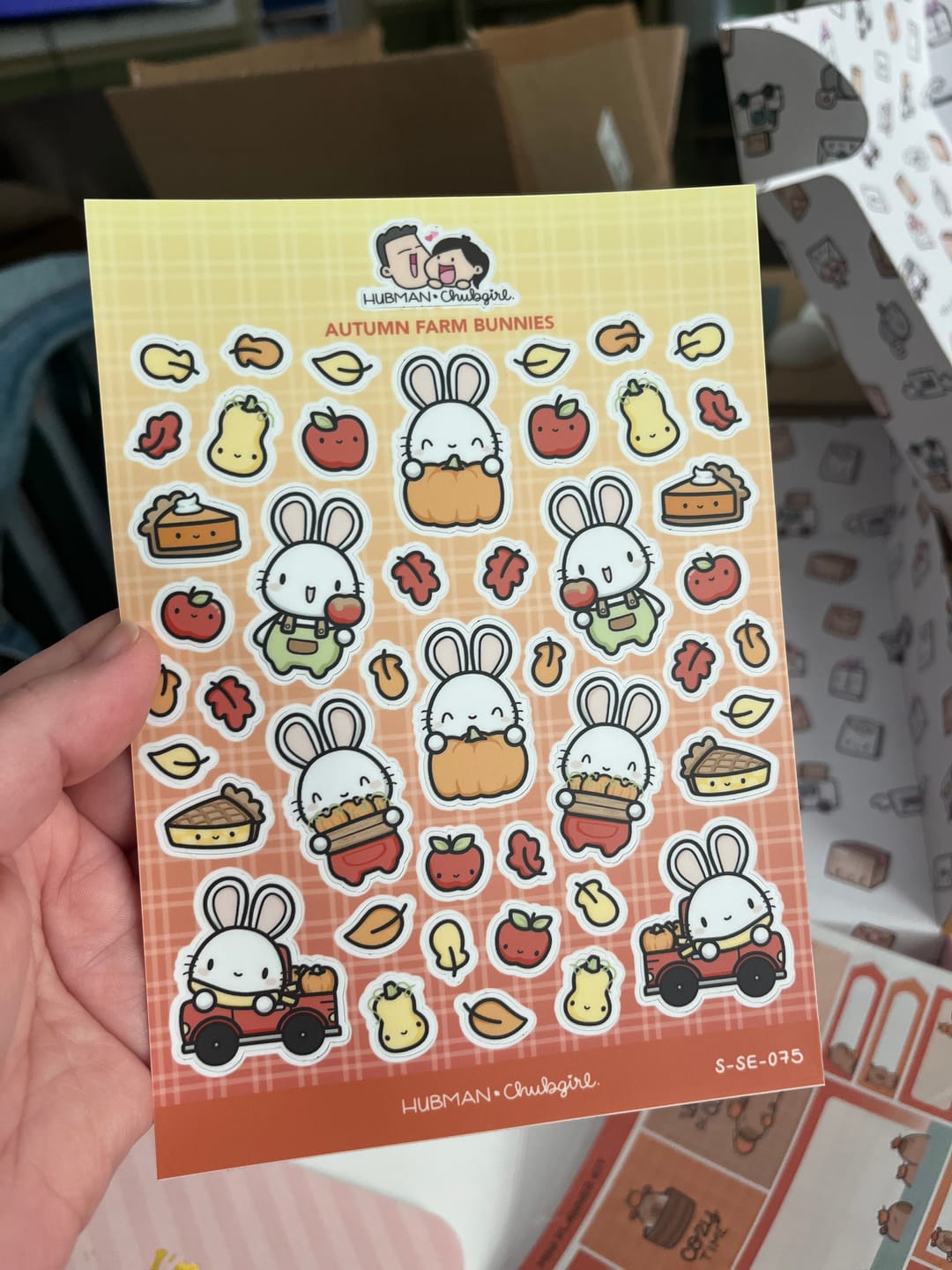 Customer photo review of Autumn Farm Bunnies Sticker Sheet