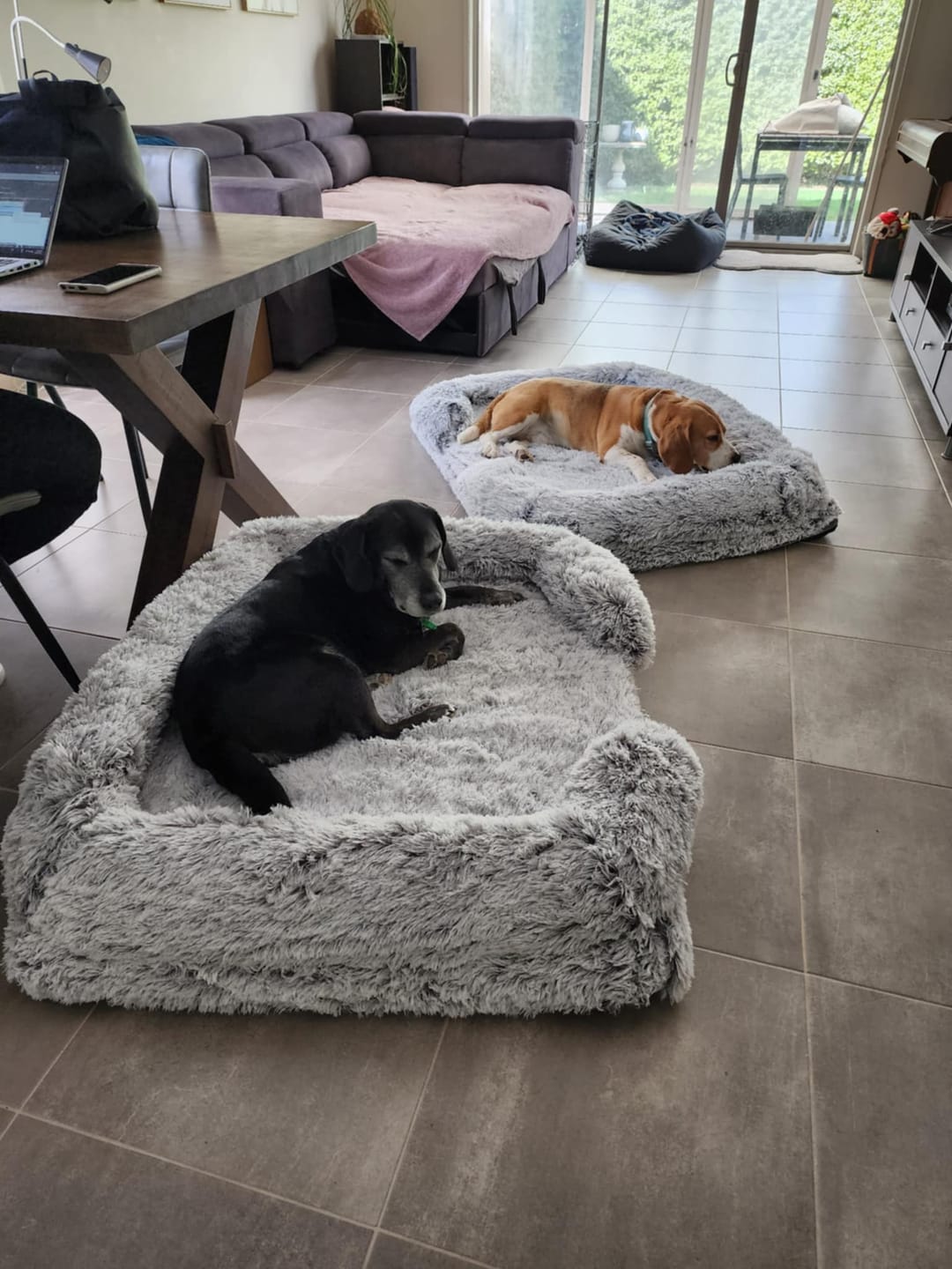 Customer photo review of Pet Orthopaedic Bed