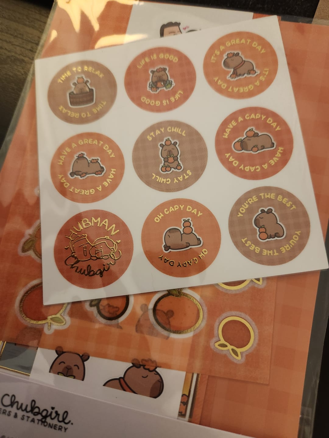 Customer photo review of Autumn Capybaras Variety Sticker Pack