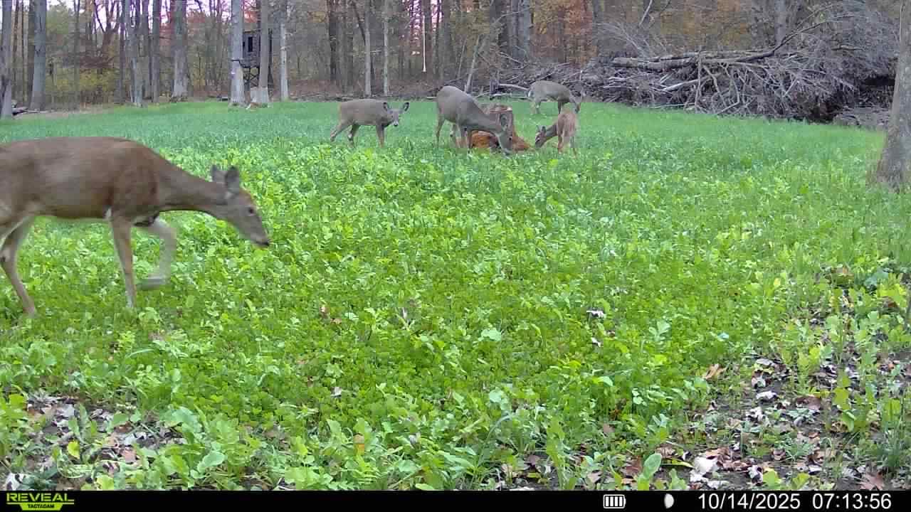Customer photo review of Comprehensive Food Plot Soil Test Kit