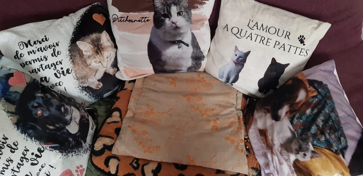 Customer photo review of Merci - Coussin personnalisé