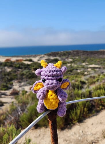 Customer photo review of Mini Crafts™ Learn-To-Crochet Kits