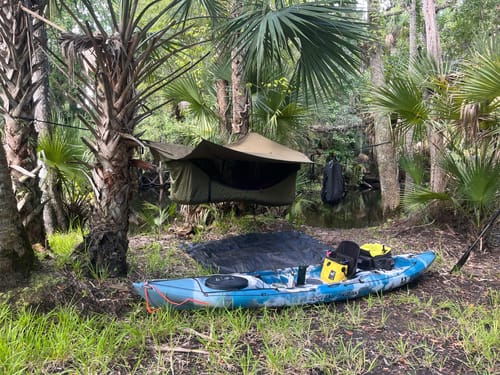 Customer photo review of Haven Safari