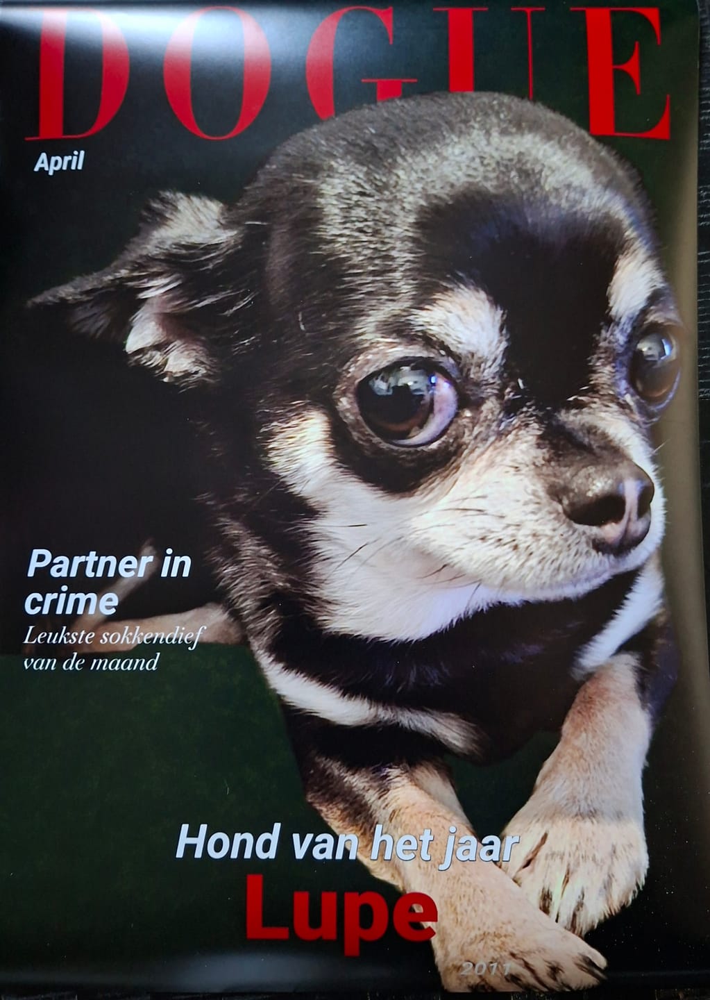 Customer photo review of Dogue - Gepersonaliseerde Poster
