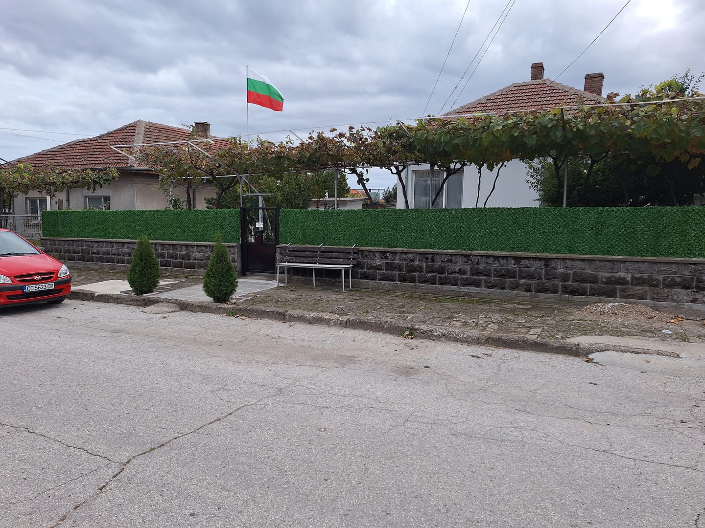 Customer photo review of Декоративна мрежа "Жив плет"