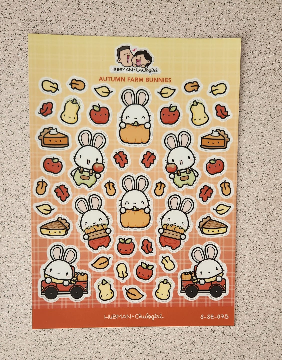 Customer photo review of Autumn Farm Bunnies Sticker Sheet