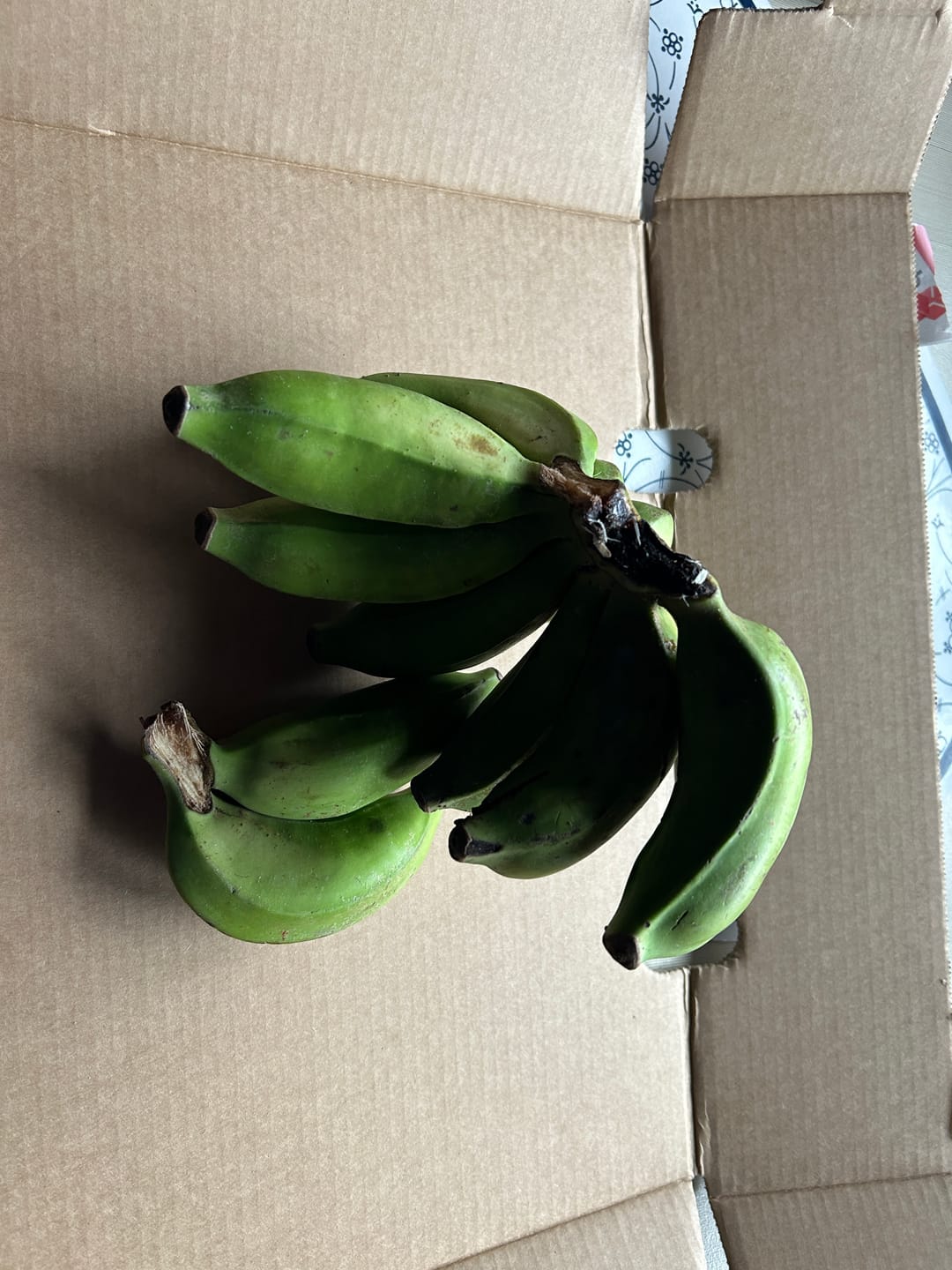 Customer photo review of Apfelbananen Bio & Fair Kipepeo