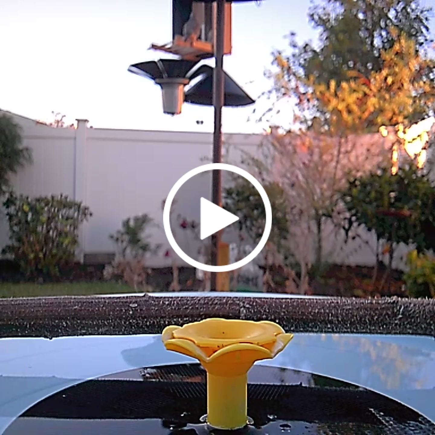 Customer video review of Birdfy Bath Pro - Solar-Powered Smart Birdbath with Fountain