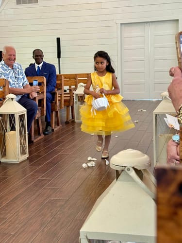 Customer photo review of Baby Girl and Toddler Summer Princess Dress Flower Girl Princess Party Dress