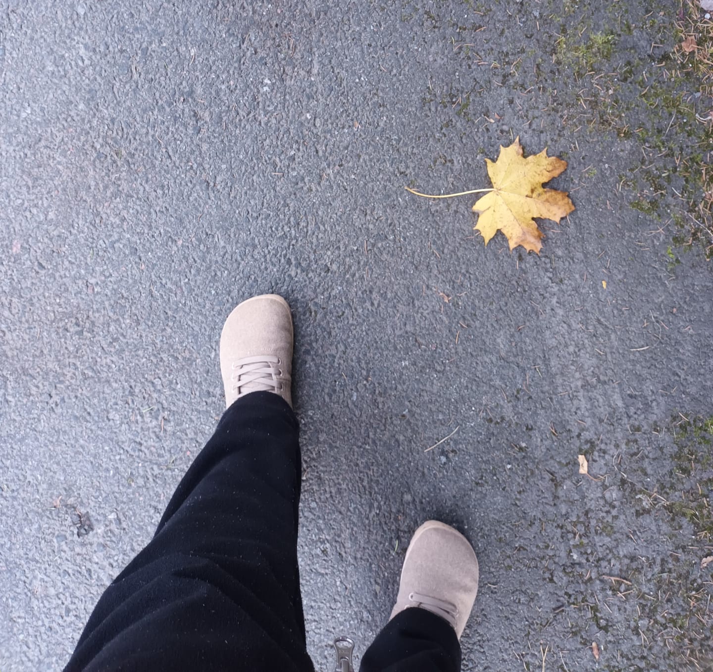 Customer photo review of Vaistoa Tunto 2 -paljasjalkatennarit