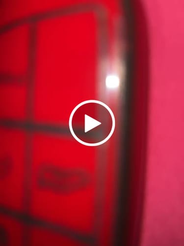 Customer video review of Exotic Smalls