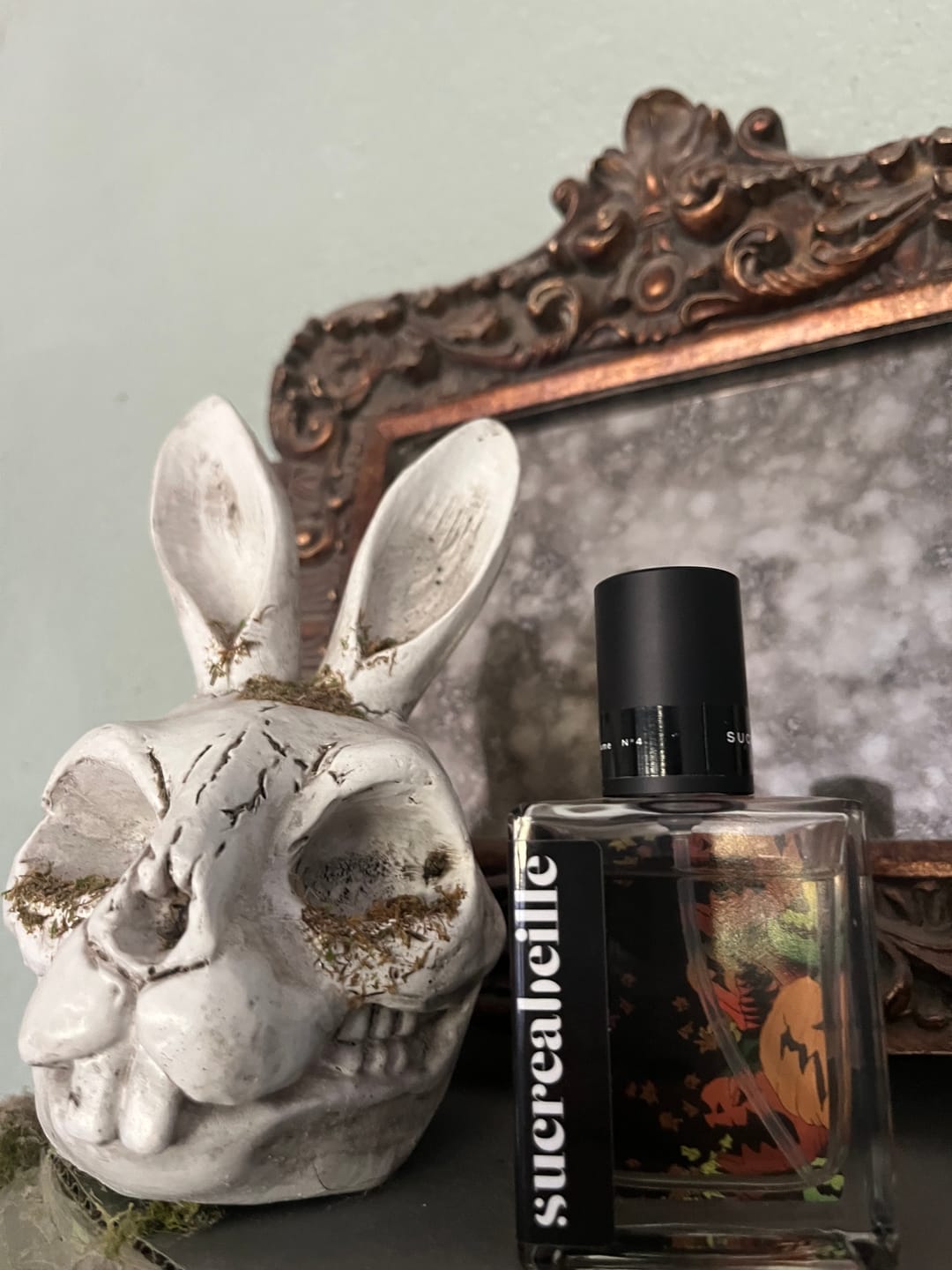 Customer photo review of Pumpkin Spice Pandemic