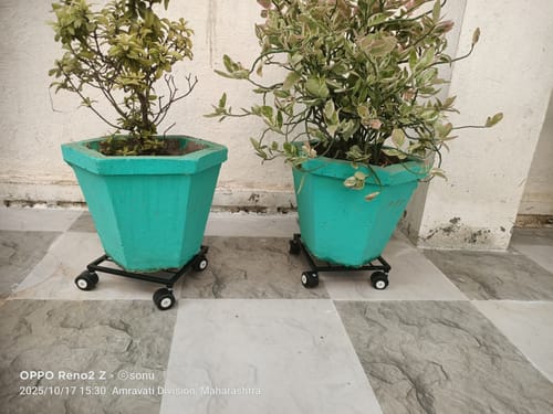 Customer photo review of United Crafts Rozy Wheel Pot Stands for Planters