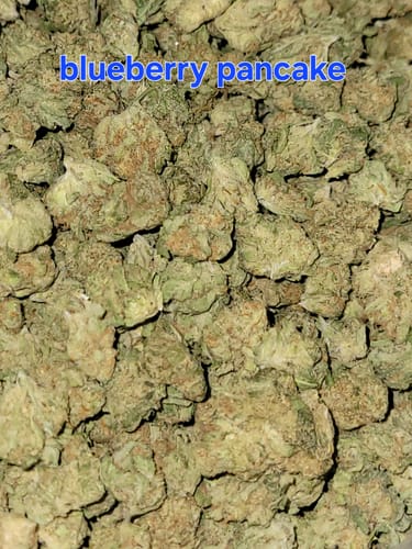 Customer photo review of Blueberry Pancakes Minis - Bulk Minis - Hybrid