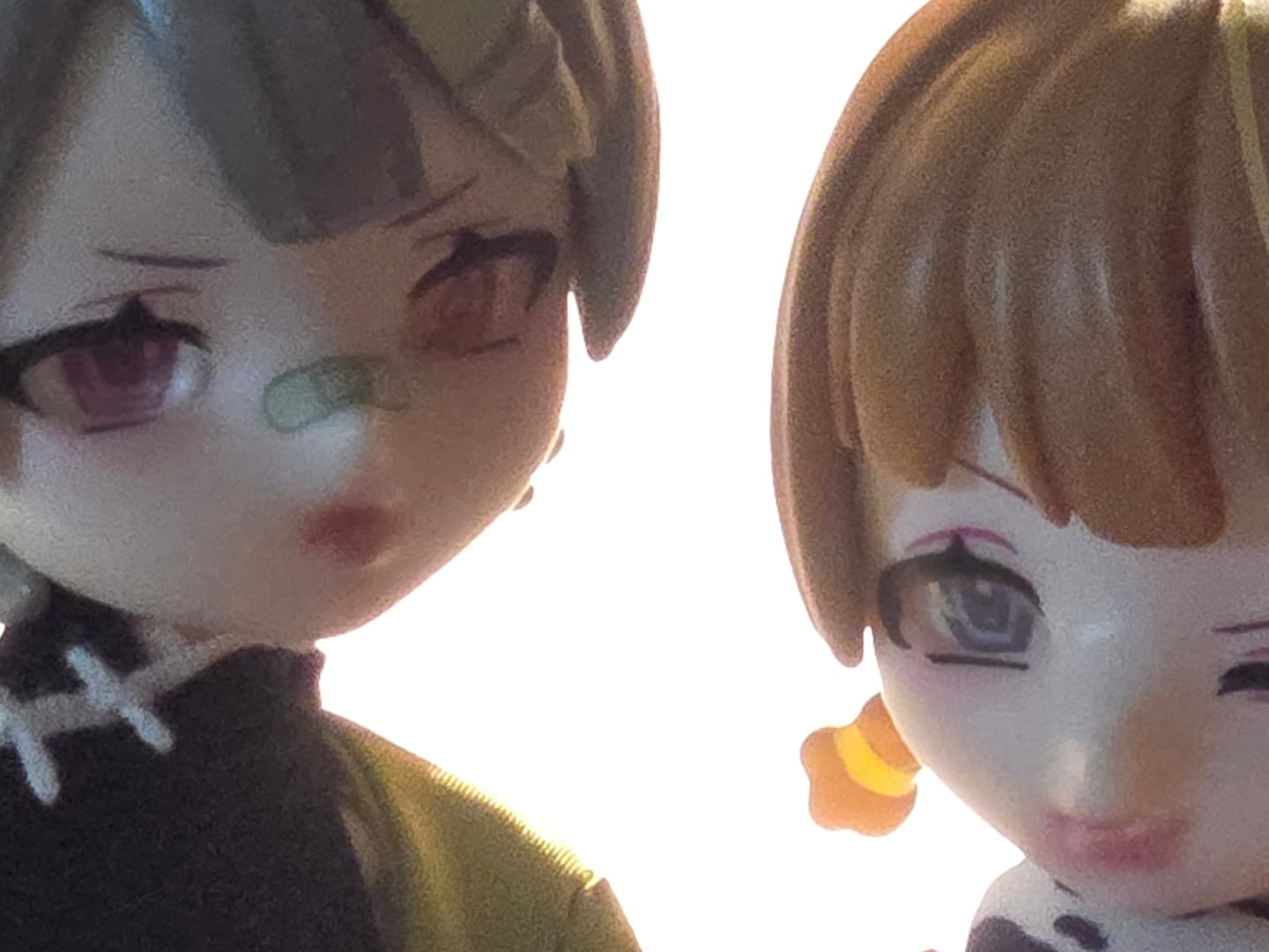 Customer photo review of Eve Lynna Dream Paradise Series Action Figure Blind Box