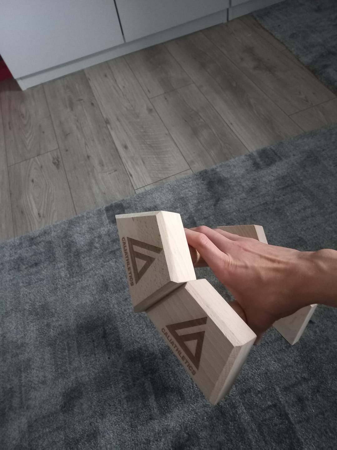 Customer photo review of Wooden Parallettes MINI