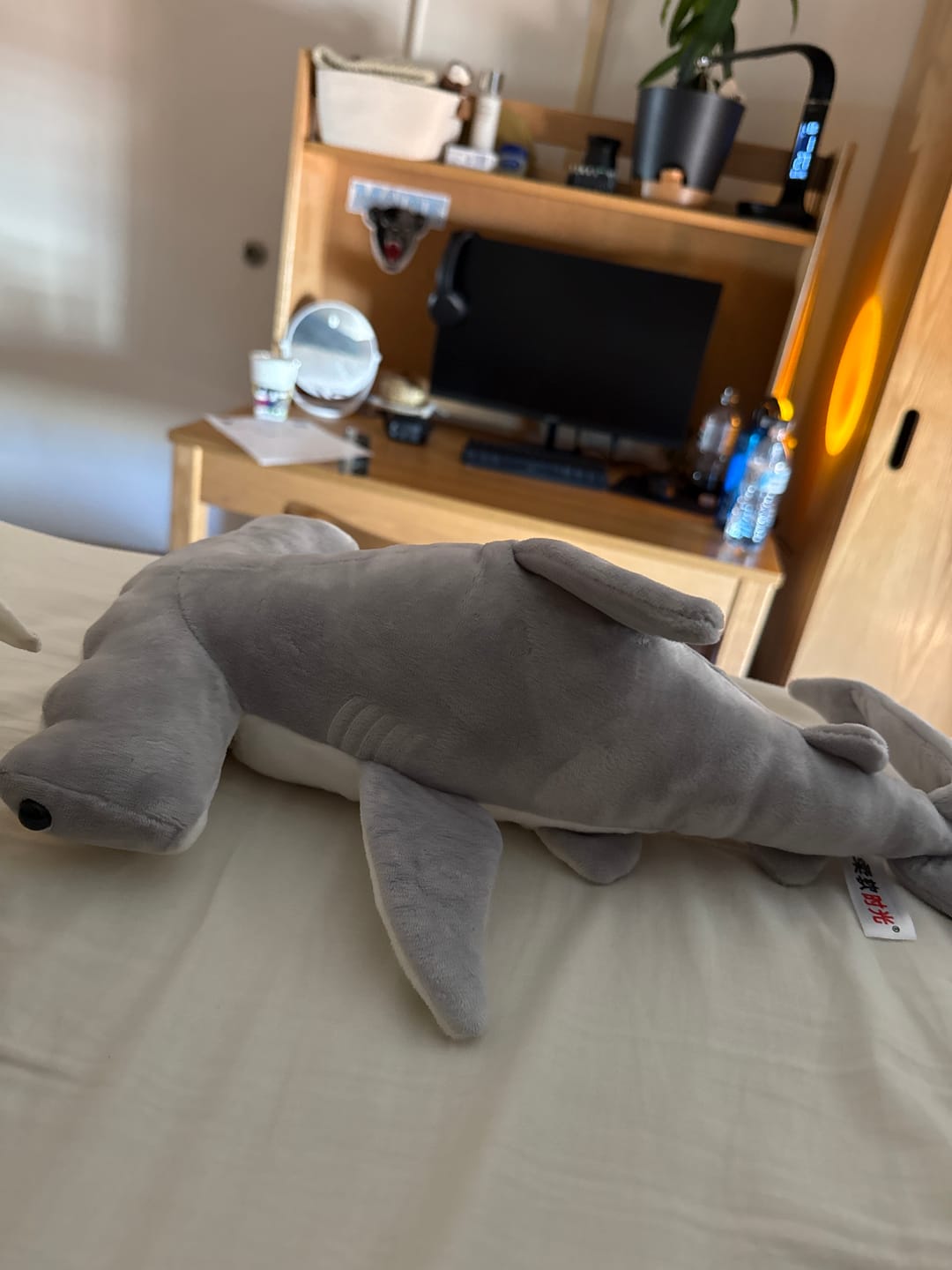 Customer photo review of Hammerhead Shark Soft Stuffed Plush Toy
