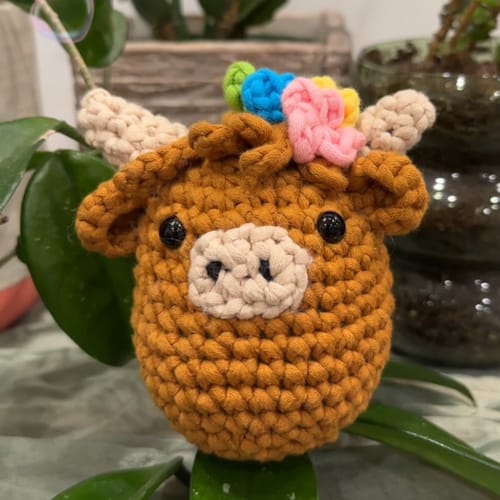 Customer photo review of Mini Crafts™ Learn-To-Crochet Kits