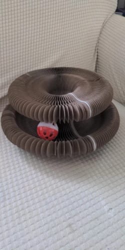 Customer photo review of FlexiPlay – 2in1 Kratz- und Spielring™