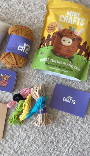Customer photo review of Mini Crafts™ Learn-To-Crochet Kits