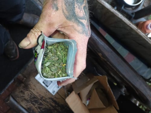 Customer photo review of Exotic Shake