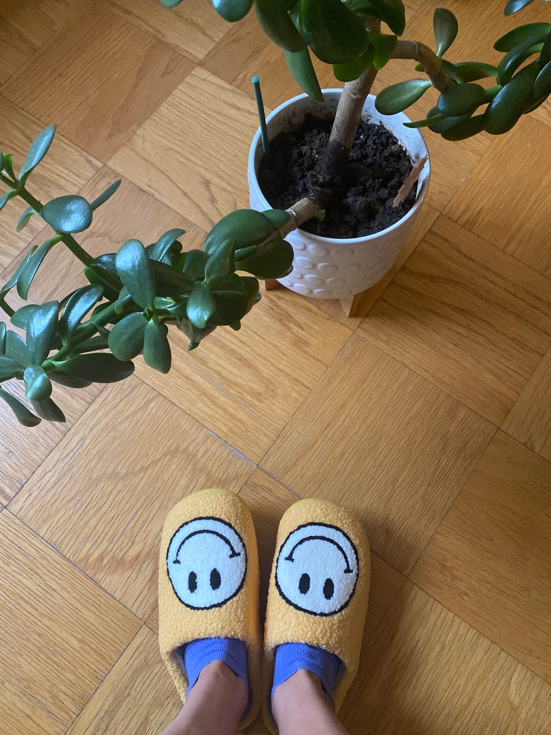 Customer photo review of Happy Face Slippers