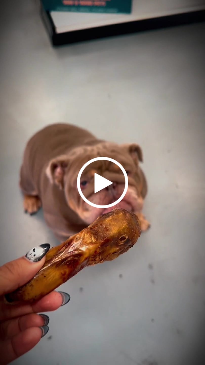 Customer video review of Duck Head