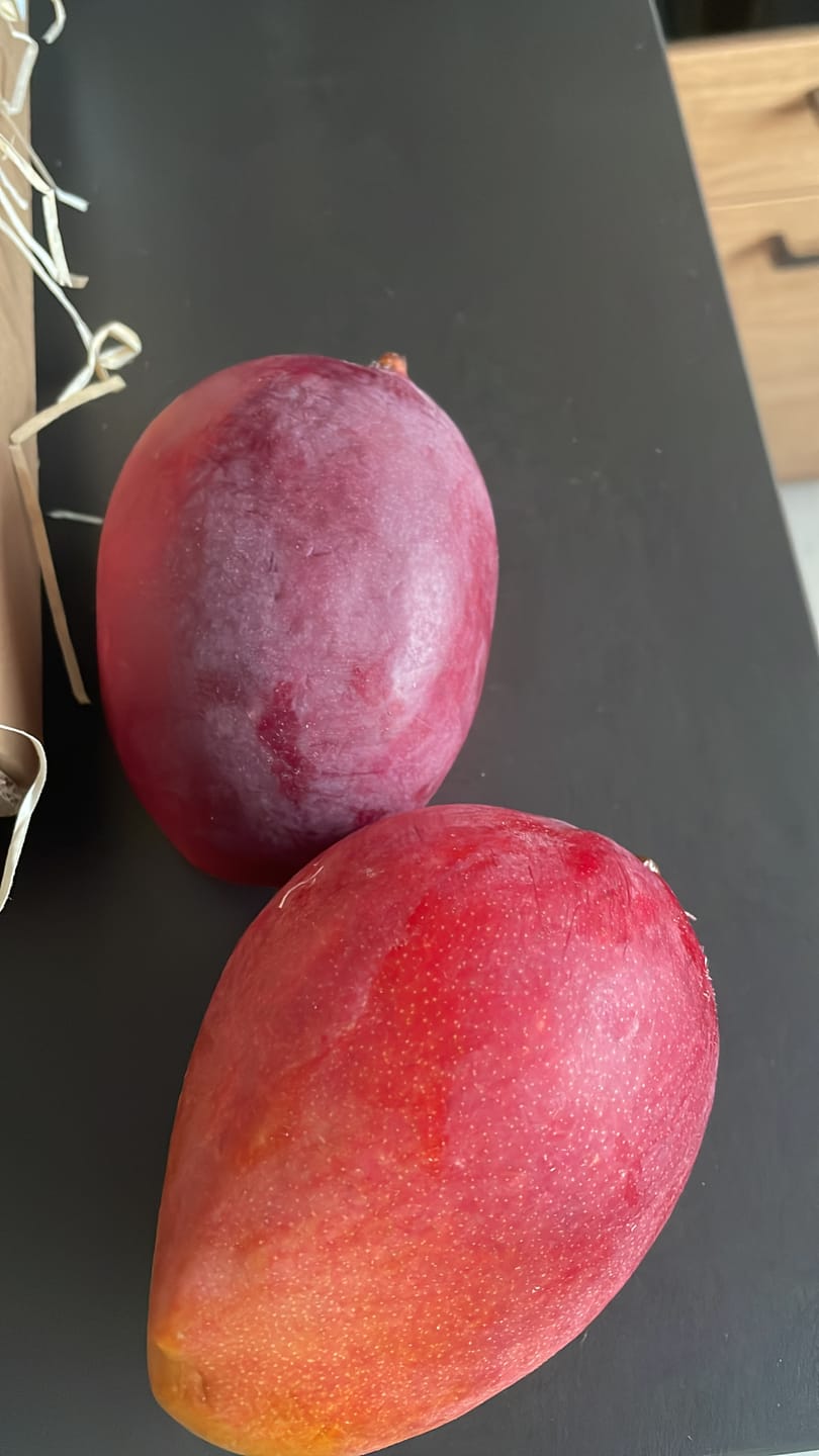 Customer photo review of Mango Sensacion Sonderaktion %