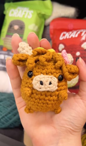 Customer photo review of Mini Crafts™ Learn-To-Crochet Kits