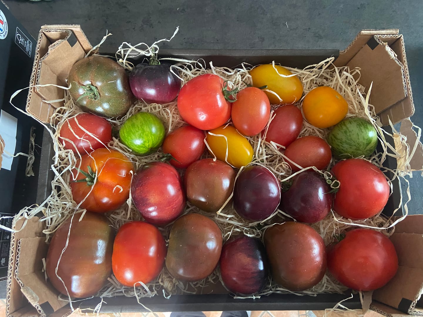 Customer photo review of Tomaten Mix von Julian