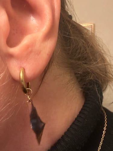 Customer photo review of Palestine Earrings