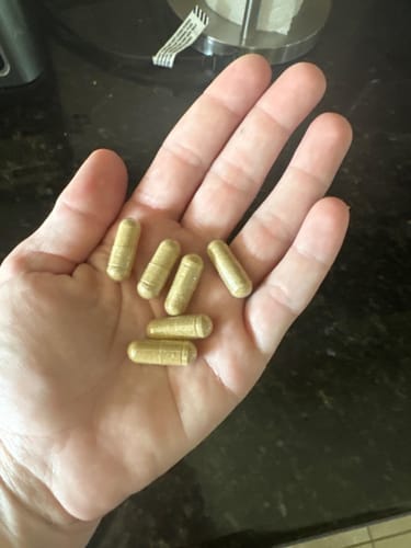 Evan S. review