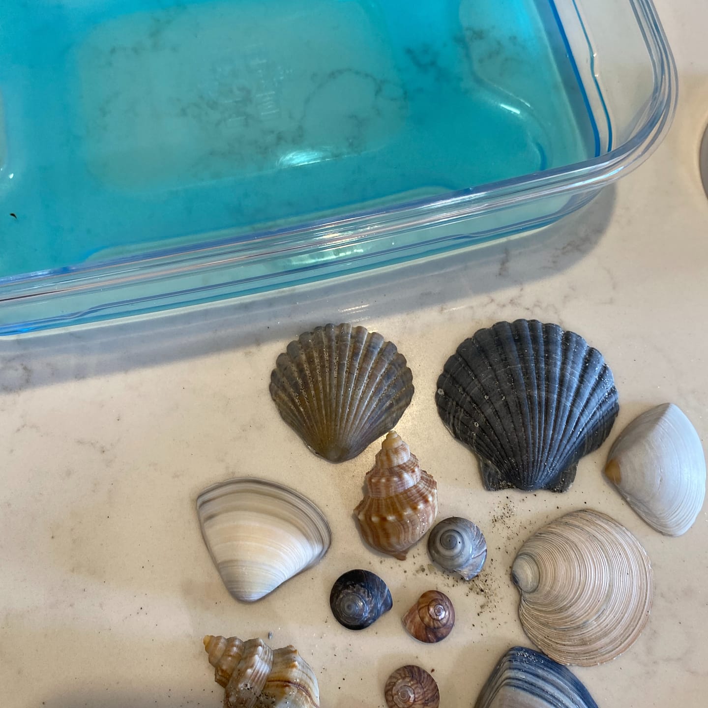 Customer photo review of The Ultimate Sensory Play Guide - Digital Download