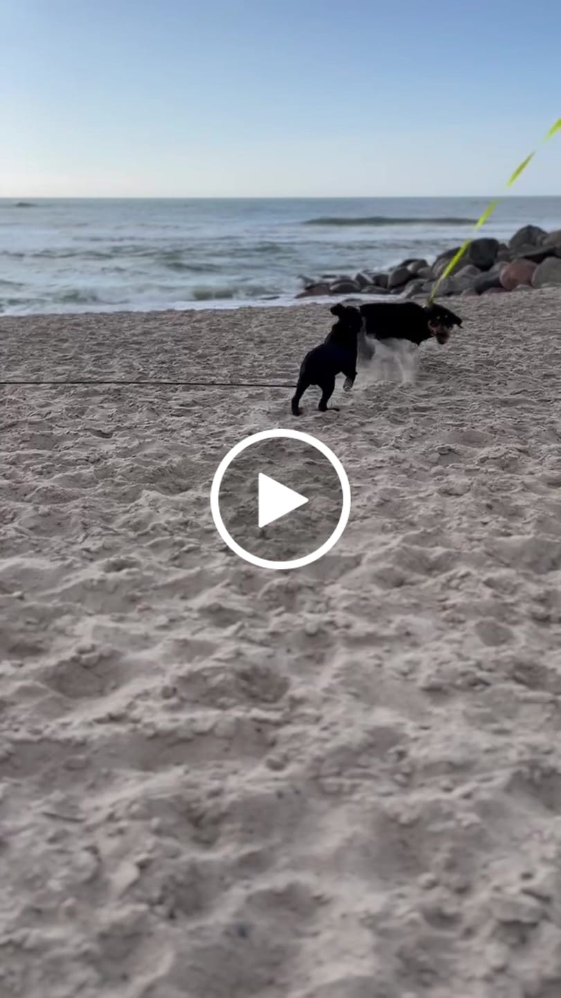 Customer video review of Dr. Wuffys Gelenkformel – getestet von Wolfgang
