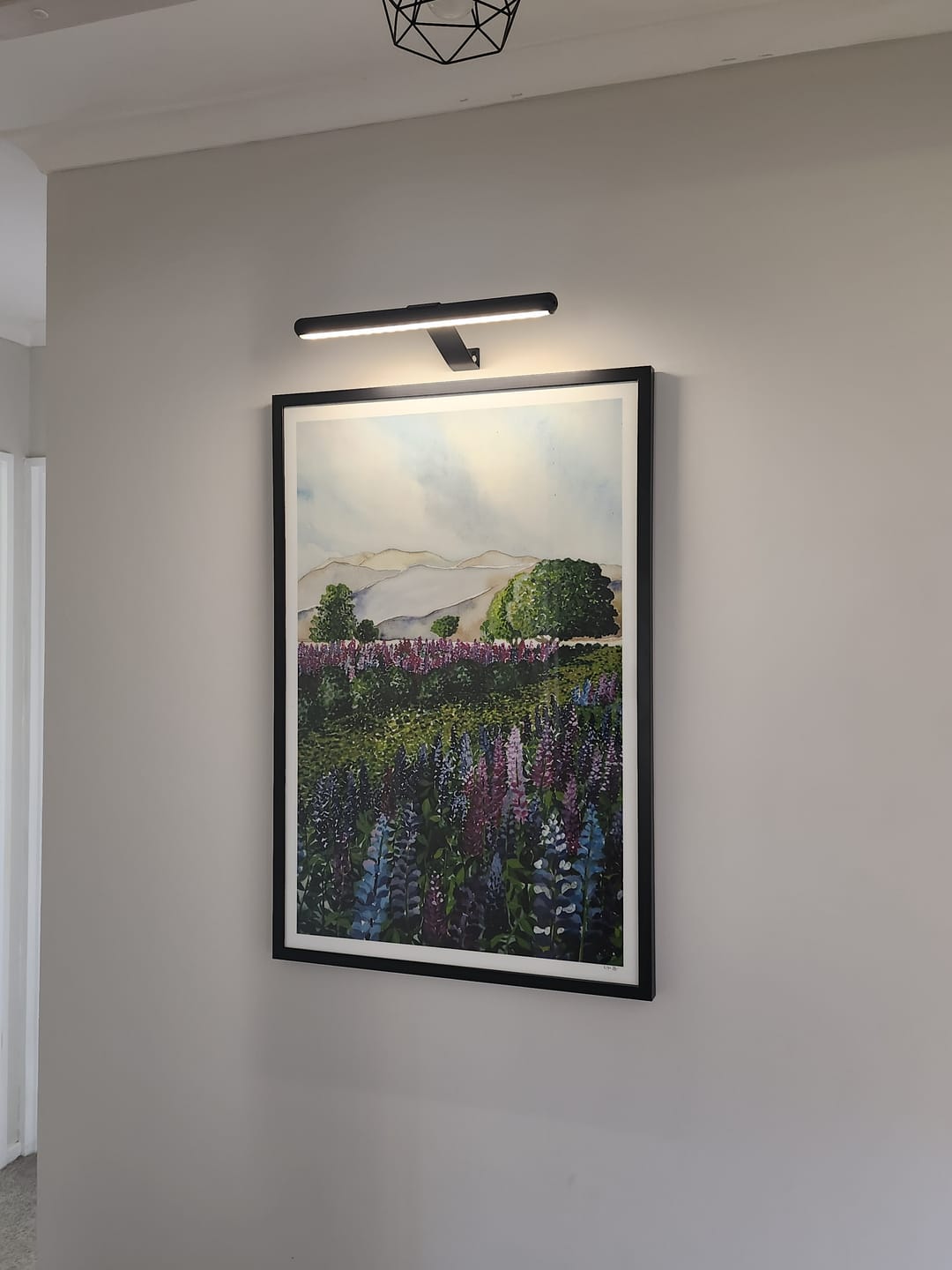 Customer photo review of Lupin Fields I