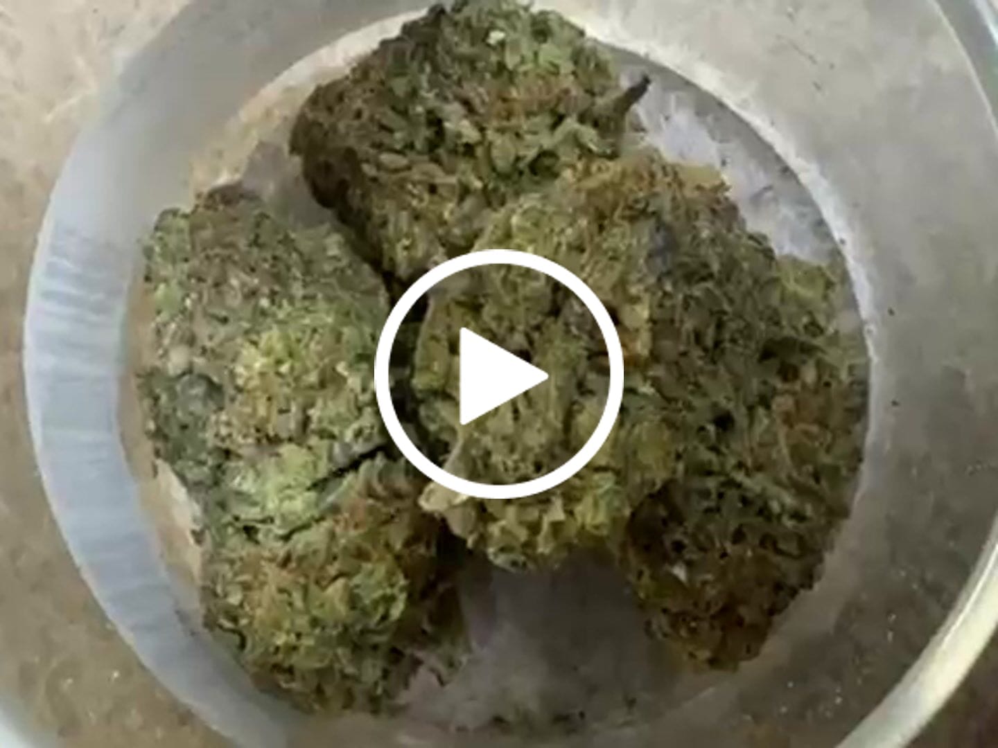 Customer video review of Greenhouse THCa Flower