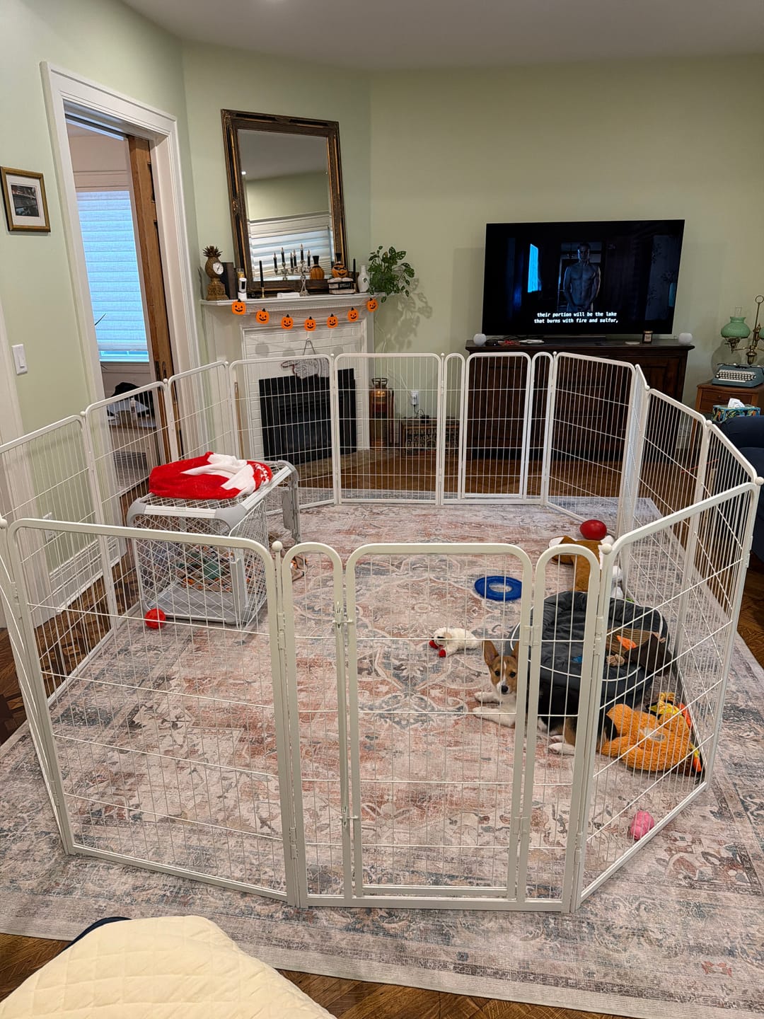 Customer photo review of Homeplus Dog Playpen for Indoor Use