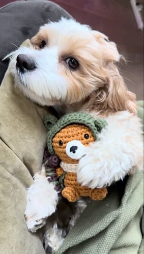 Customer photo review of Mini Crafts™ Learn-To-Crochet Kits