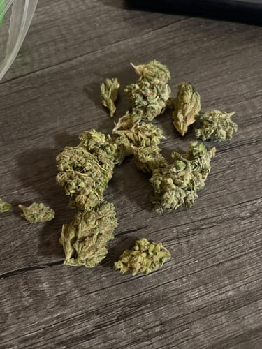 Customer photo review of Star Dog - Bulk - Indica
