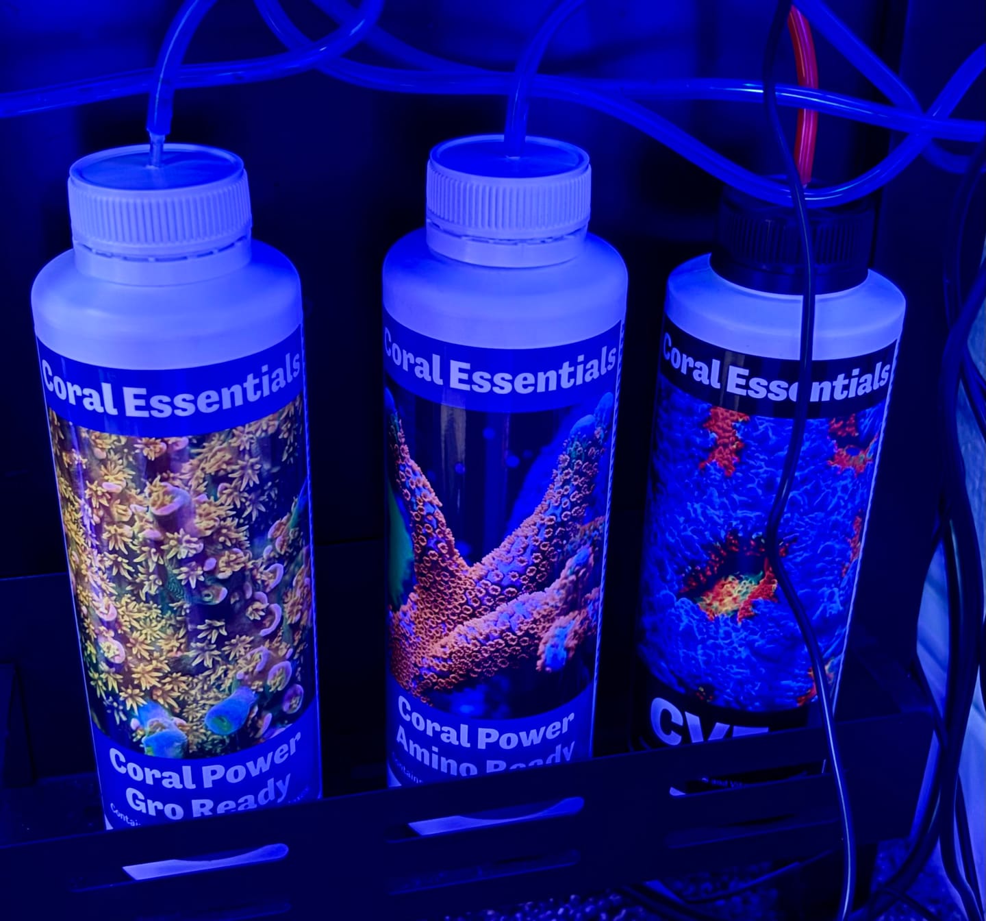 Customer photo review of Coral Essentials Gro Ready